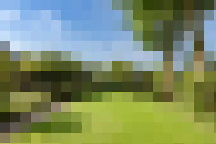 Zuid Zijperweg 20 Wieringerwaard thumbnail 44