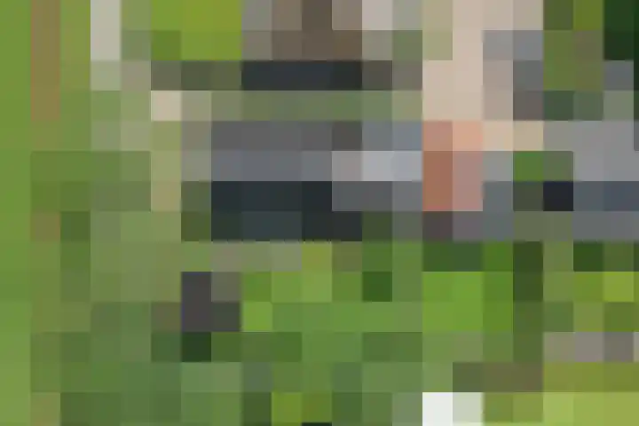 Zuid Zijperweg 20 Wieringerwaard thumbnail 47