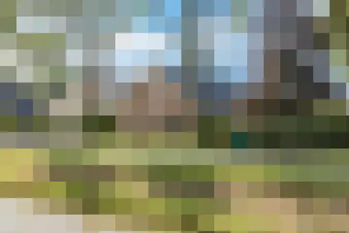 Zuid Zijperweg 20 Wieringerwaard thumbnail 48