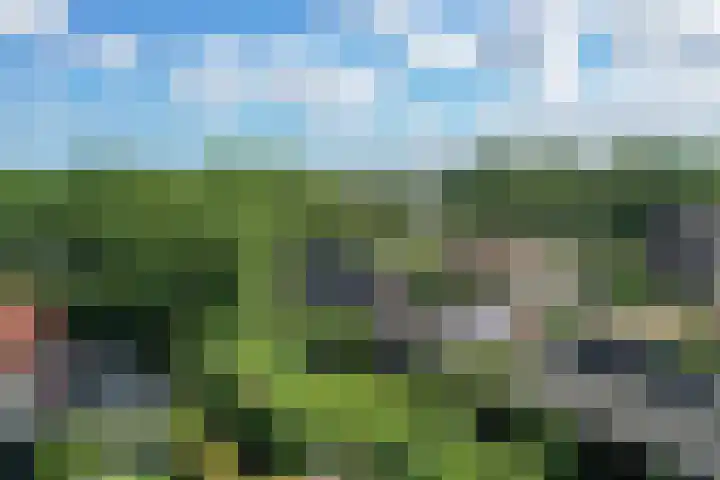 Zuid Zijperweg 20 Wieringerwaard thumbnail 49