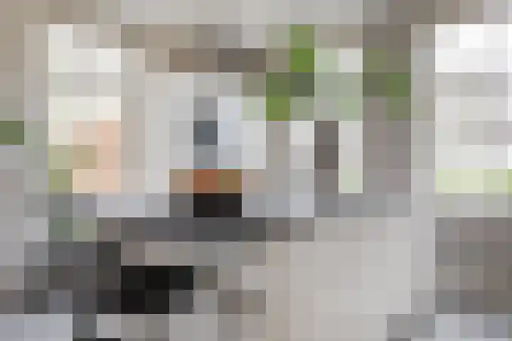 Zuid Zijperweg 20 Wieringerwaard thumbnail 5