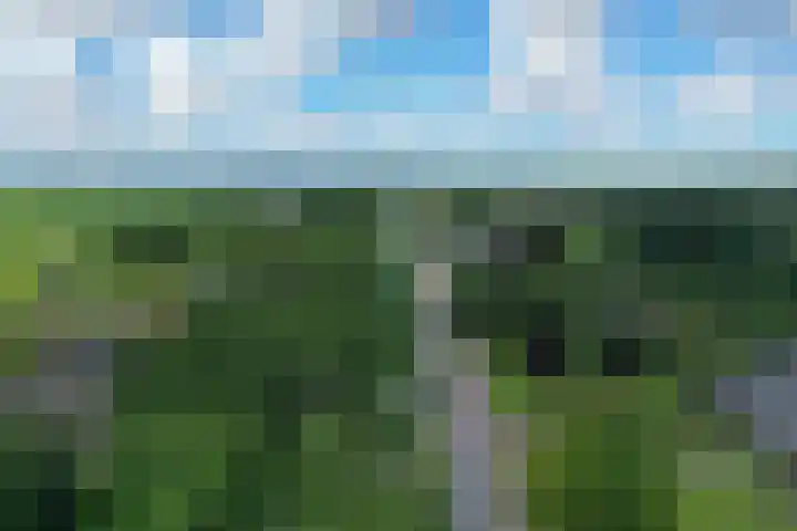 Zuid Zijperweg 20 Wieringerwaard thumbnail 50