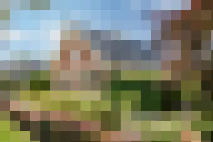 Zuid Zijperweg 20 Wieringerwaard thumbnail 51
