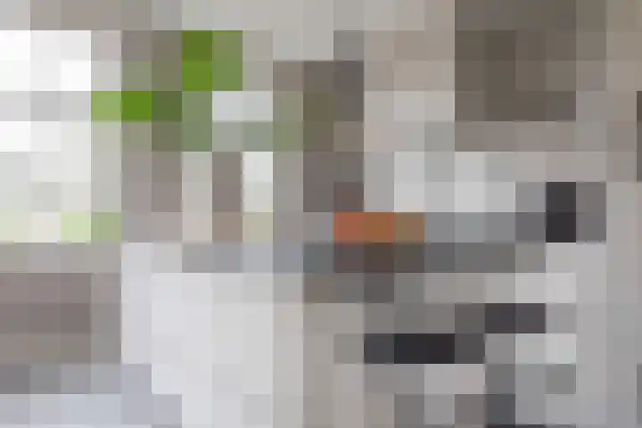 Zuid Zijperweg 20 Wieringerwaard thumbnail 6