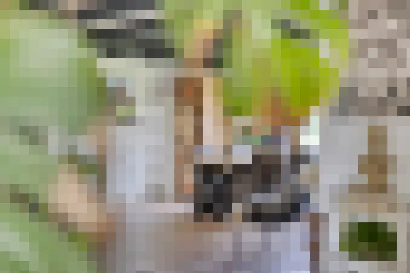 Zuid Zijperweg 23 Wieringerwaard thumbnail 24