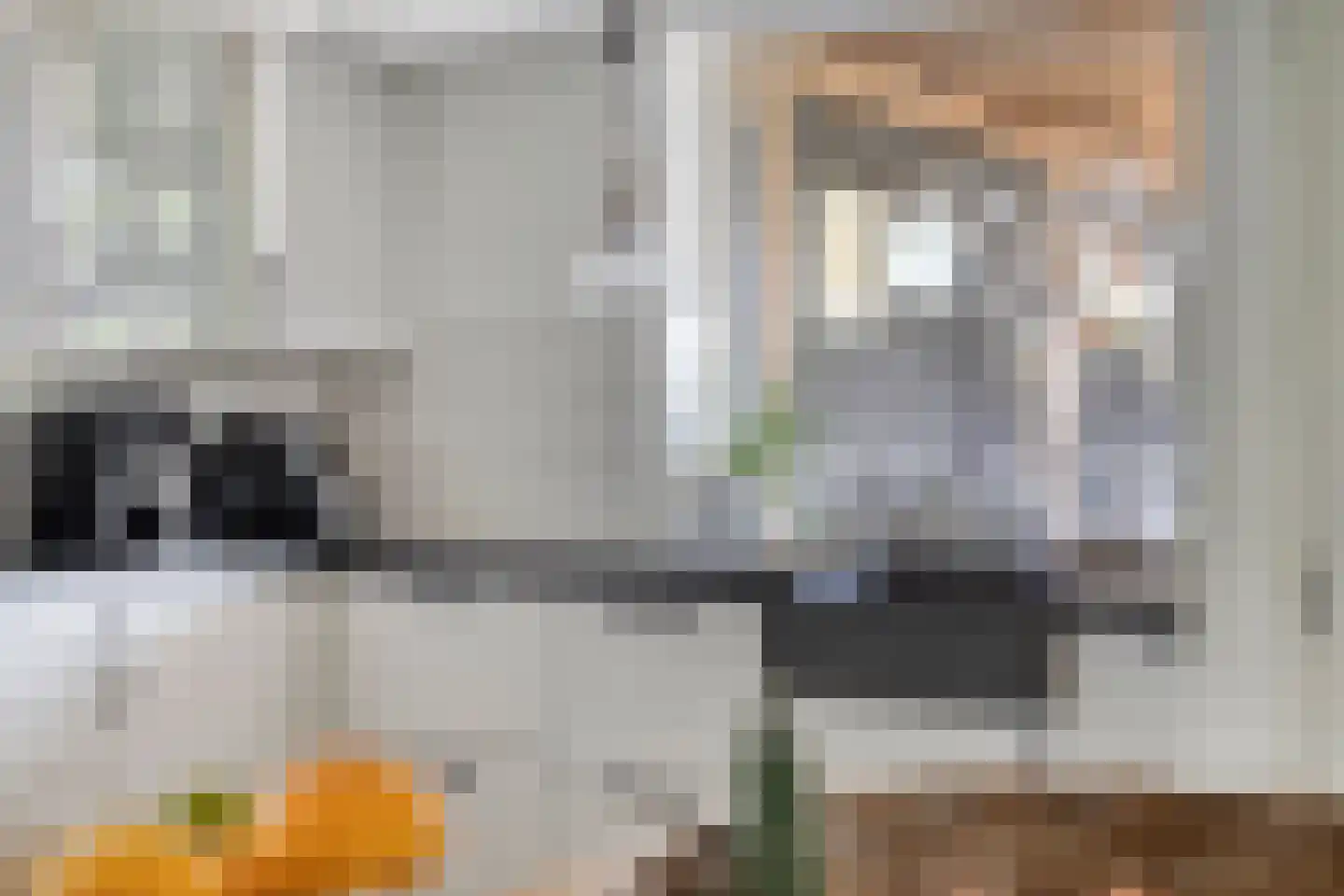 Zuid Zijperweg 23 Wieringerwaard thumbnail 26