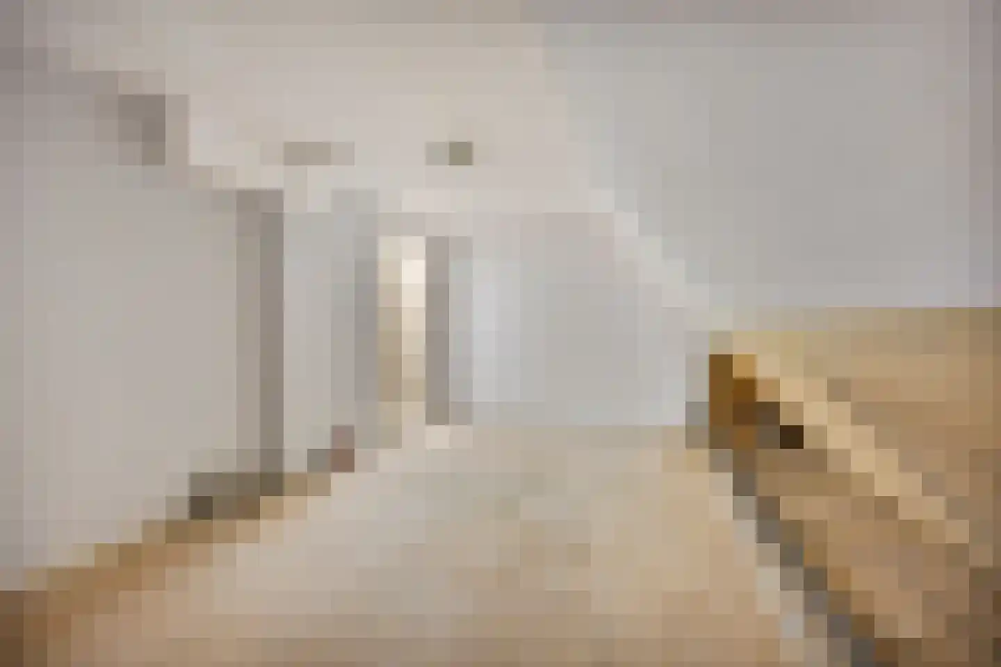Zuid Zijperweg 23 Wieringerwaard thumbnail 36