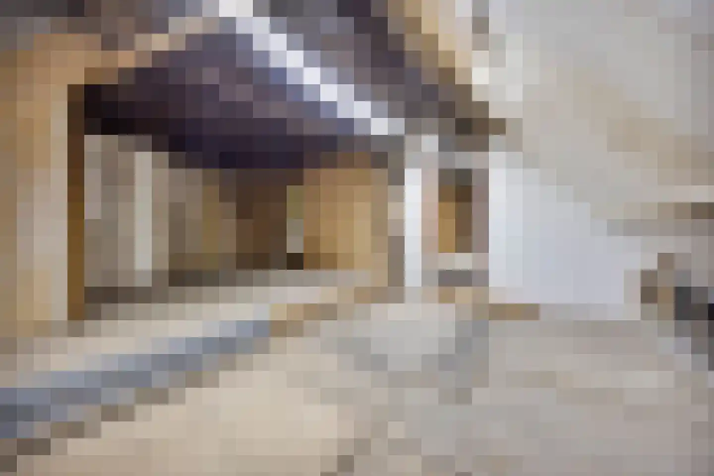 Zuid Zijperweg 23 Wieringerwaard thumbnail 38