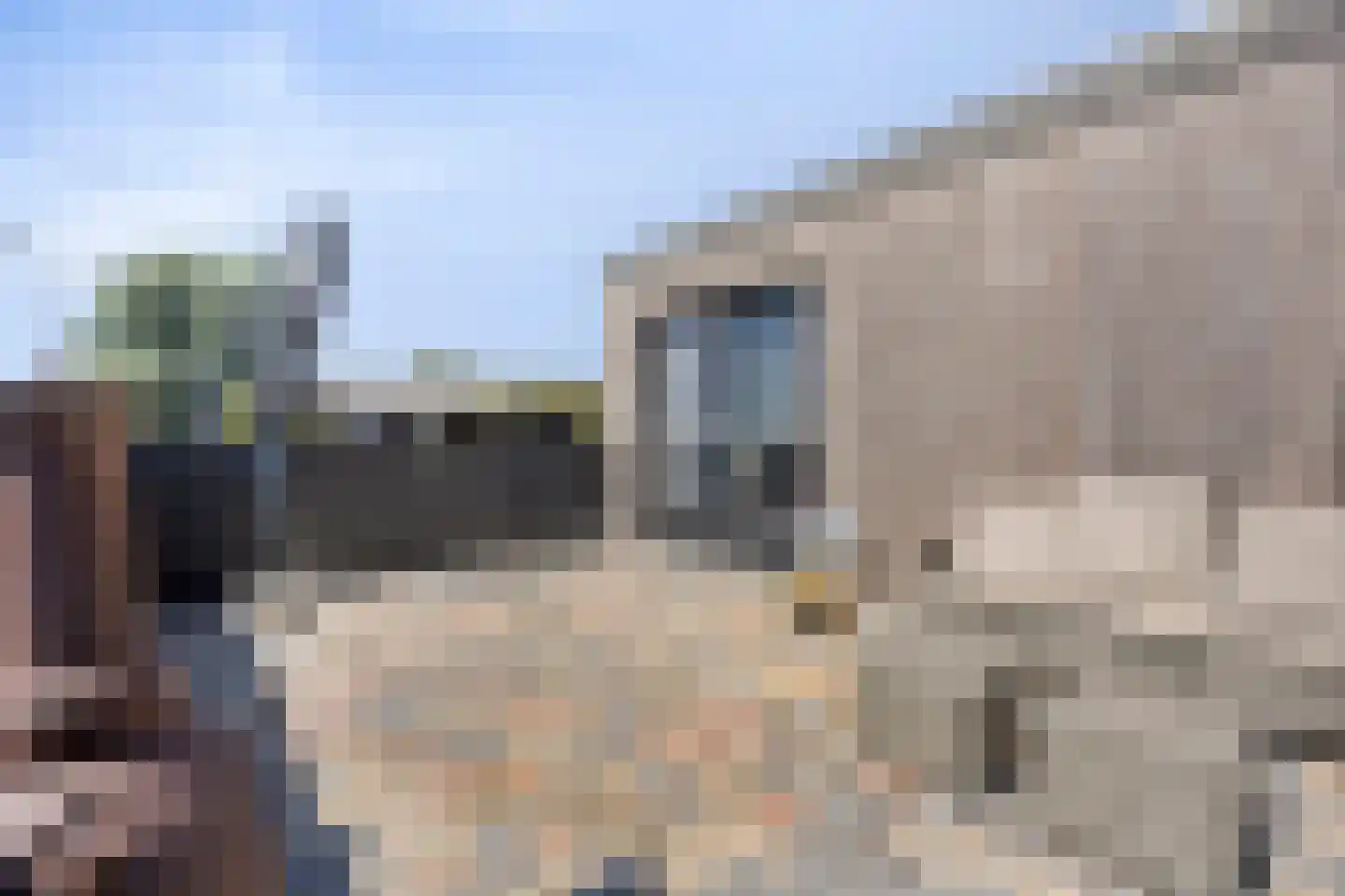 Zuid Zijperweg 23 Wieringerwaard thumbnail 78