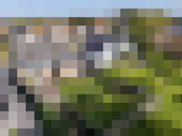 Zuid Zijperweg 44 Wieringerwaard thumbnail 39
