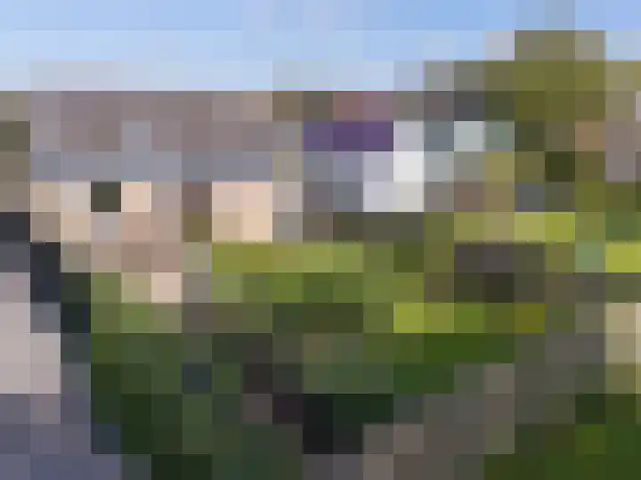 Zuid Zijperweg 44 Wieringerwaard thumbnail 40
