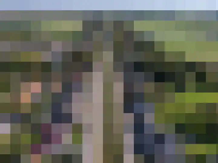 Zuid Zijperweg 44 Wieringerwaard thumbnail 42