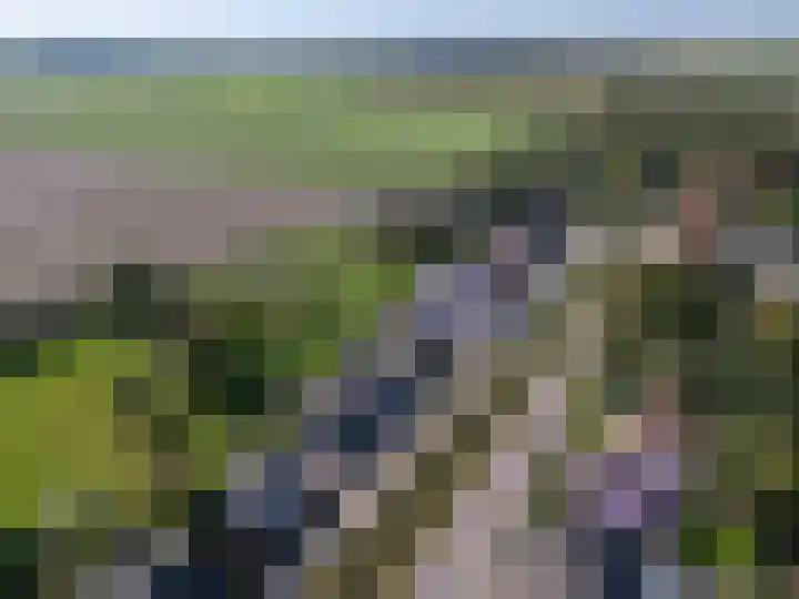 Zuid Zijperweg 44 Wieringerwaard thumbnail 43