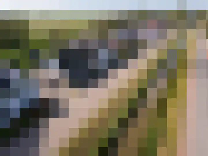Zuid Zijperweg 44 Wieringerwaard thumbnail 47