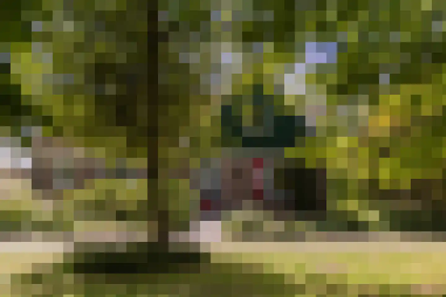Zuid Zijperweg 73 Wieringerwaard thumbnail 26