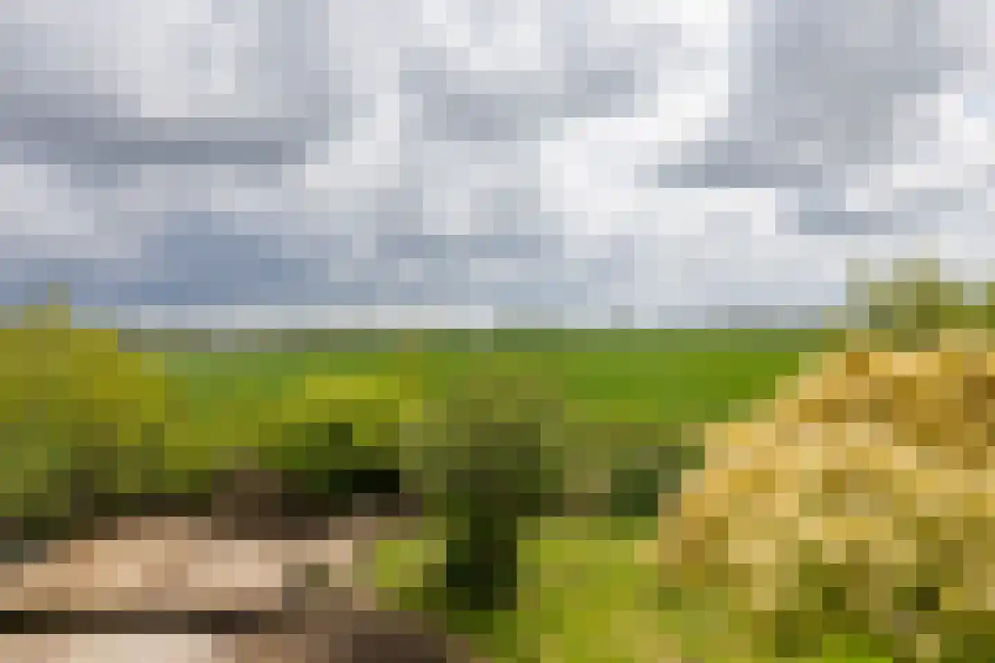 Zuid Zijperweg 73 Wieringerwaard thumbnail 31