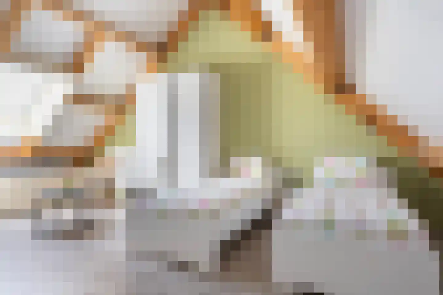 Zuidakker 5 Garderen thumbnail 25