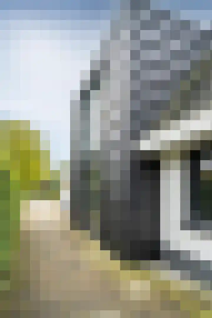 Zuidbargerstraat 32 Emmen thumbnail 41