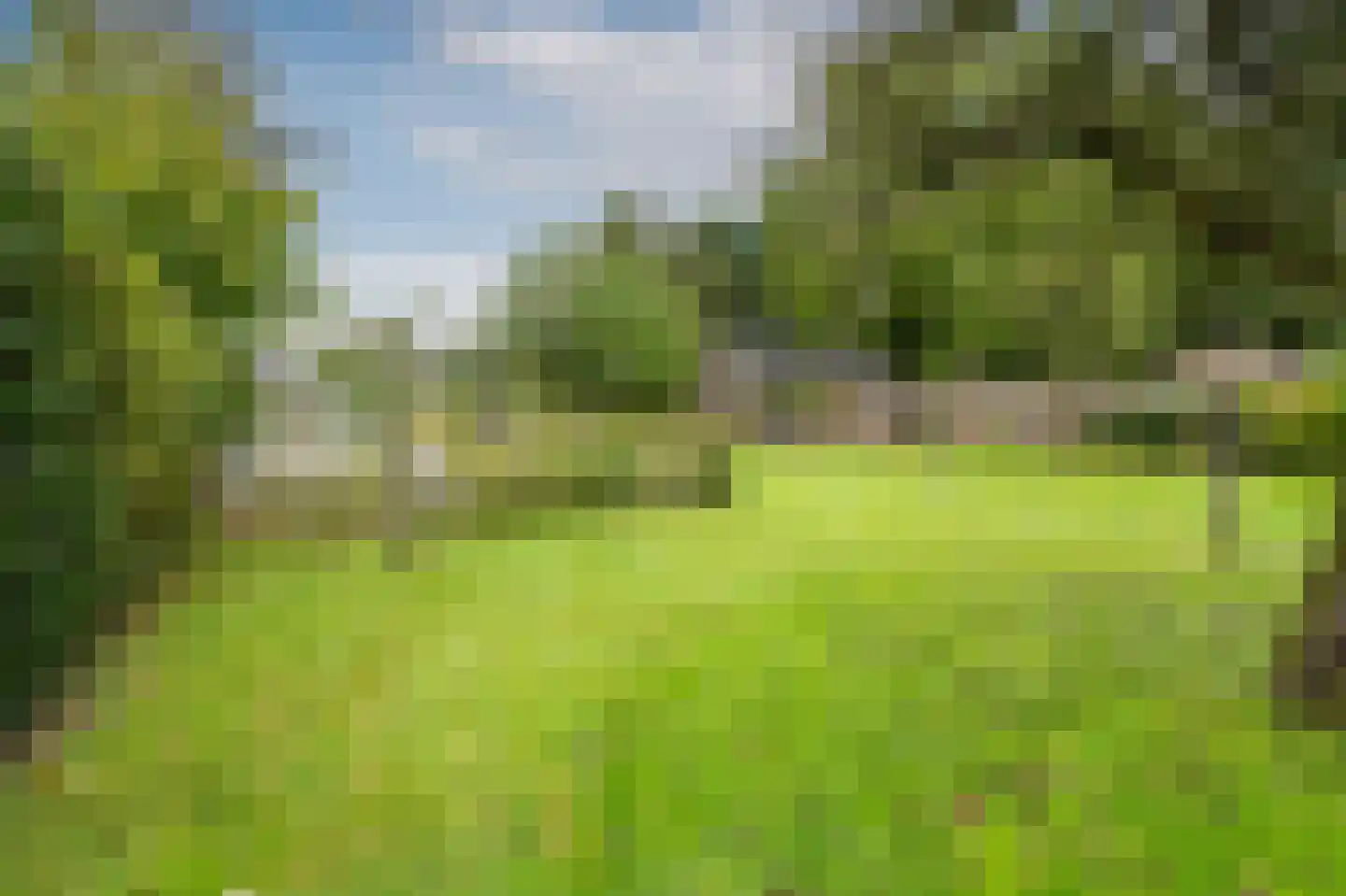 Zuidbargerstraat 73 Emmen thumbnail 37