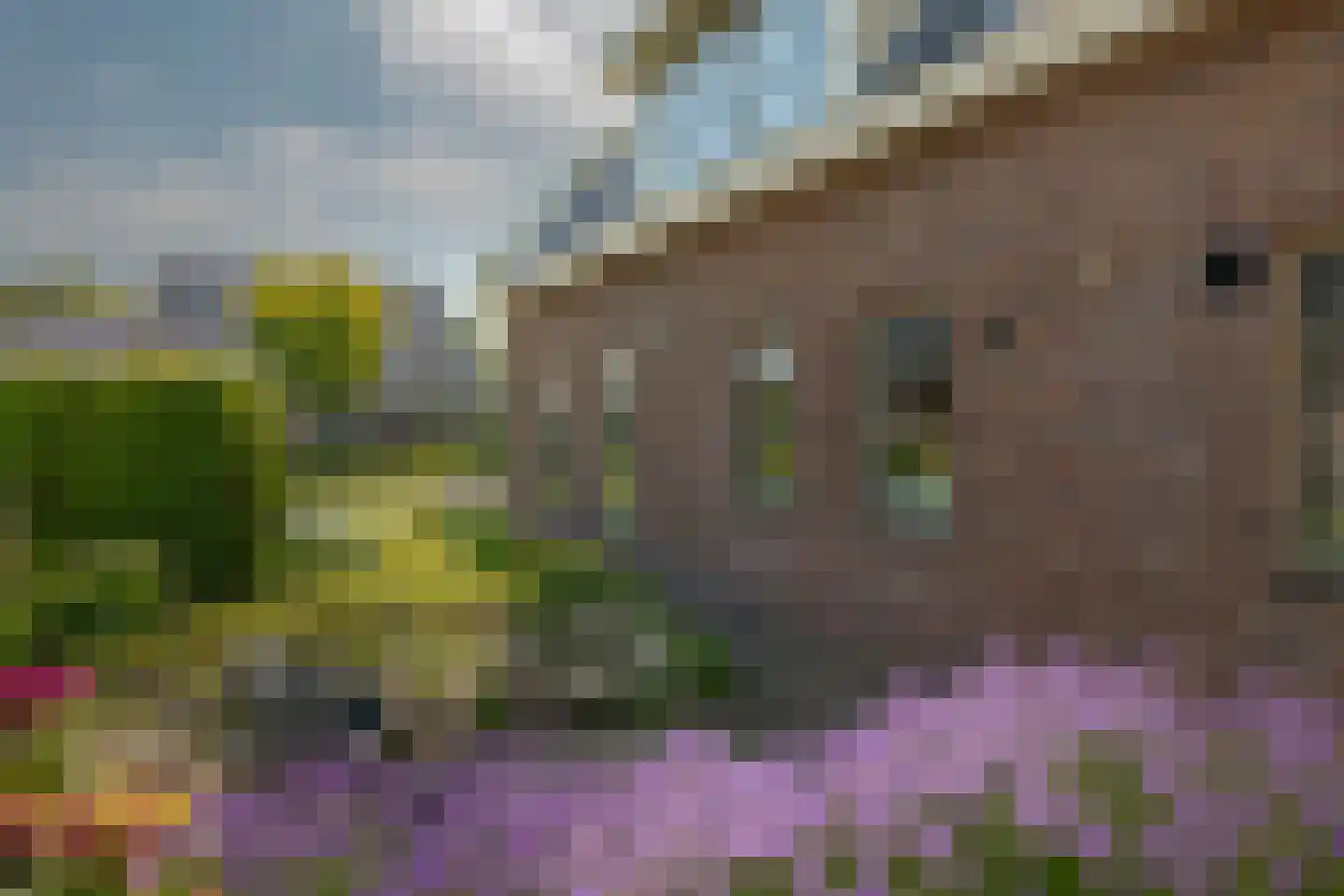 Zuidbrink 11 Westerbork thumbnail 27