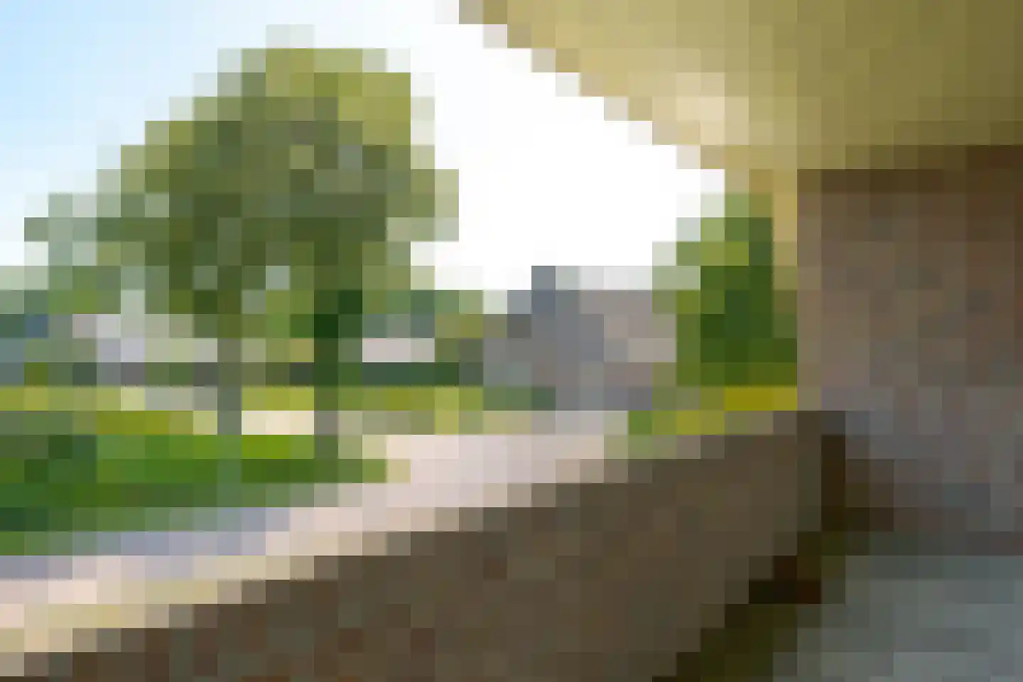 Zuidbrink 11 Westerbork thumbnail 47