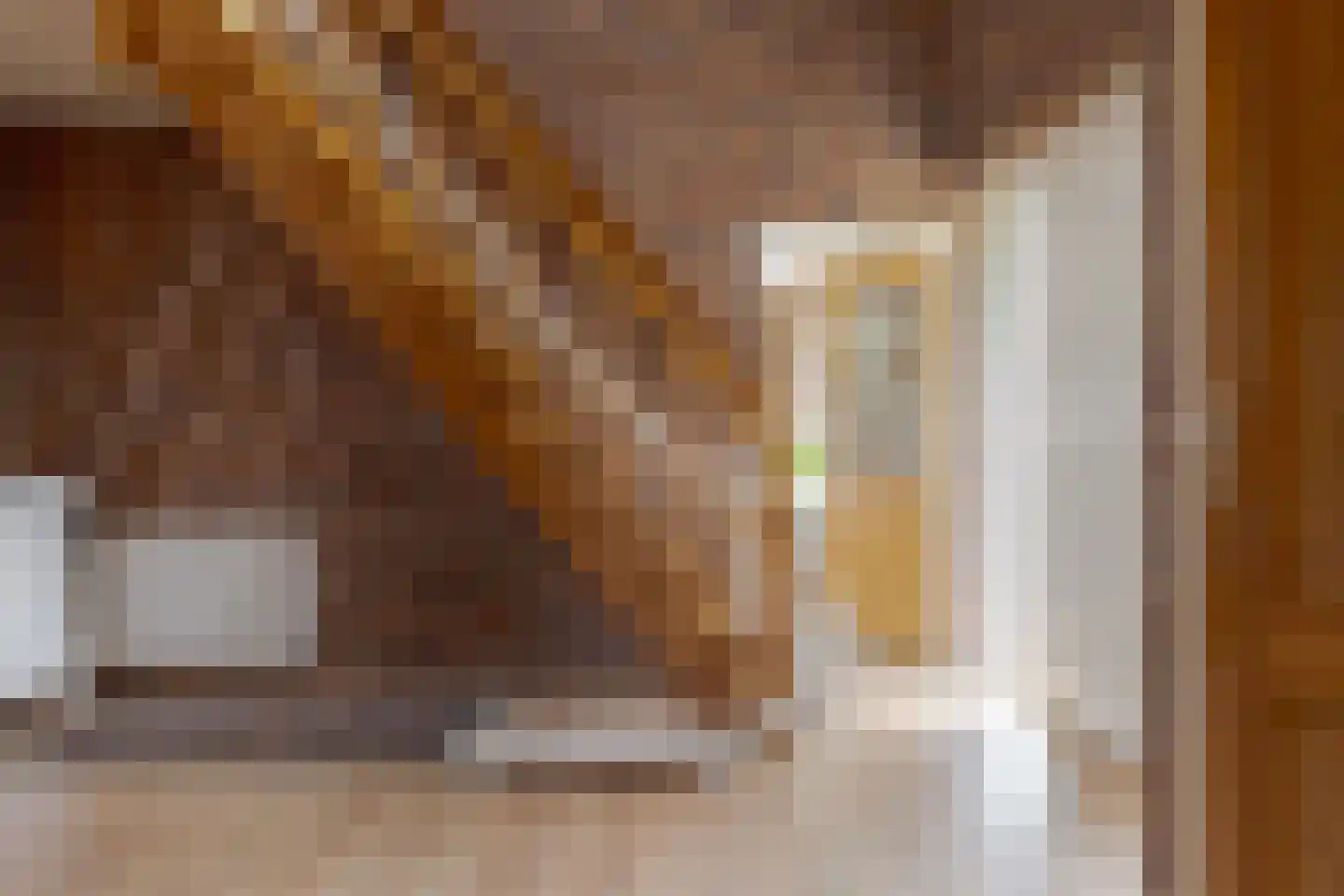 Zuidbrink 11 Westerbork thumbnail 9