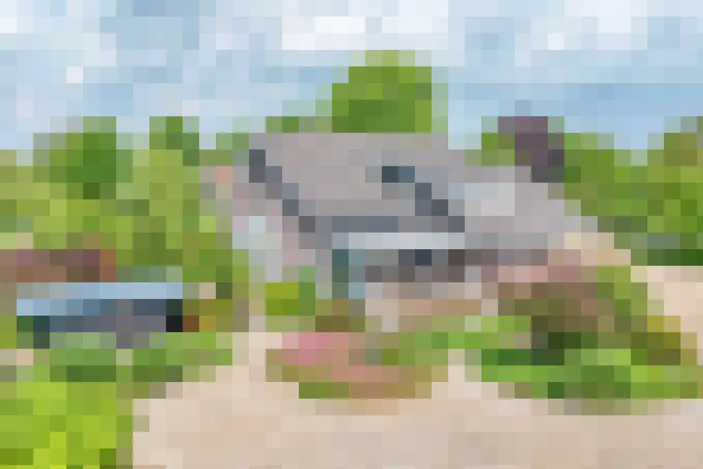 Zuidbroek 138 e Bergambacht thumbnail 30