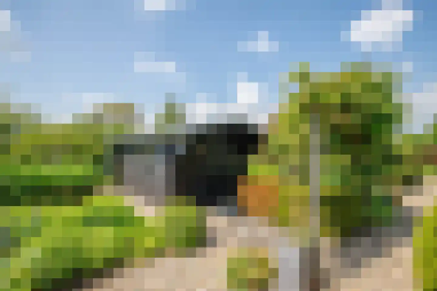 Zuidbroek 138 e Bergambacht thumbnail 38