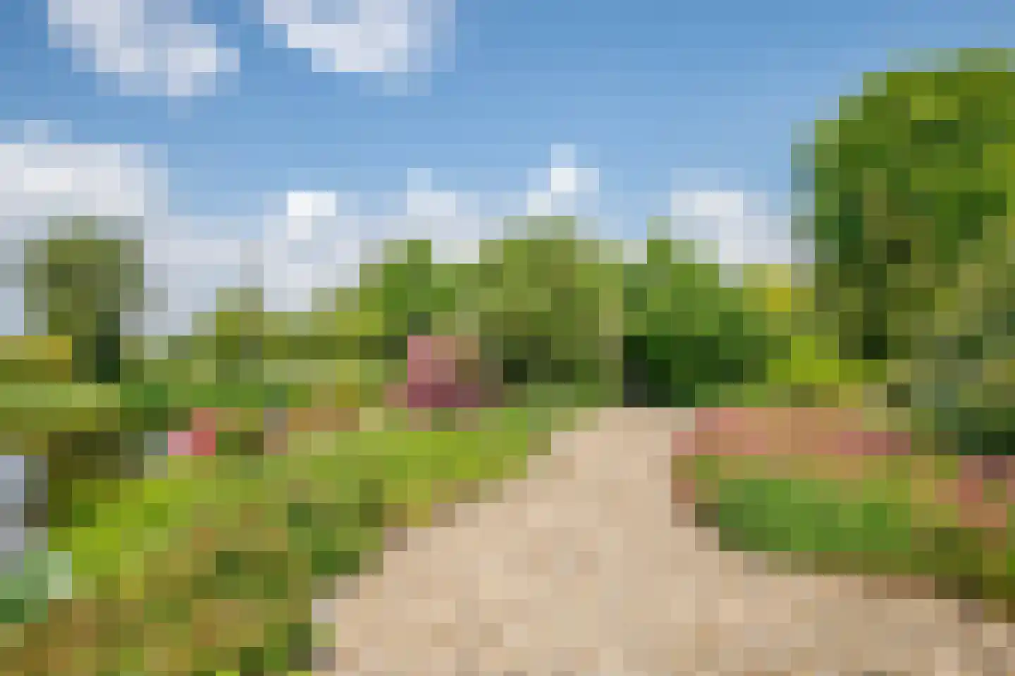 Zuidbroek 138 e Bergambacht thumbnail 39