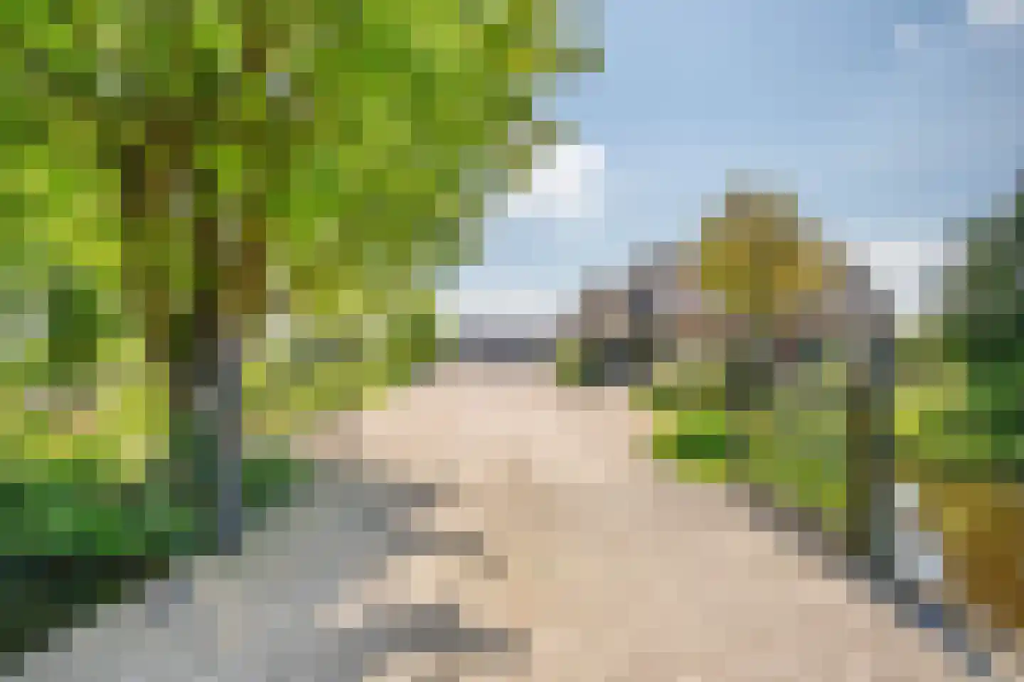 Zuidbroek 138 e Bergambacht thumbnail 41