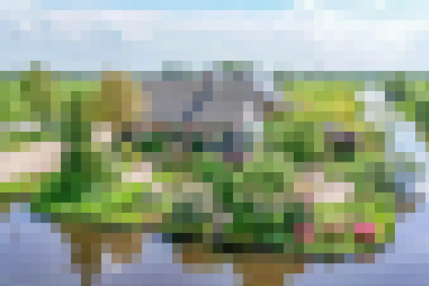 Zuidbroek 138 e Bergambacht thumbnail 45