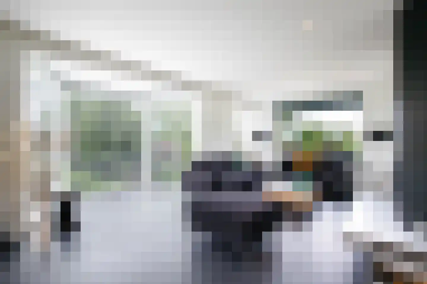 Zuidbroek 138 e Bergambacht thumbnail 9