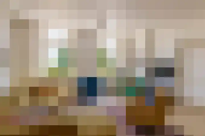 Zuidbroek 145 Bergambacht thumbnail 12