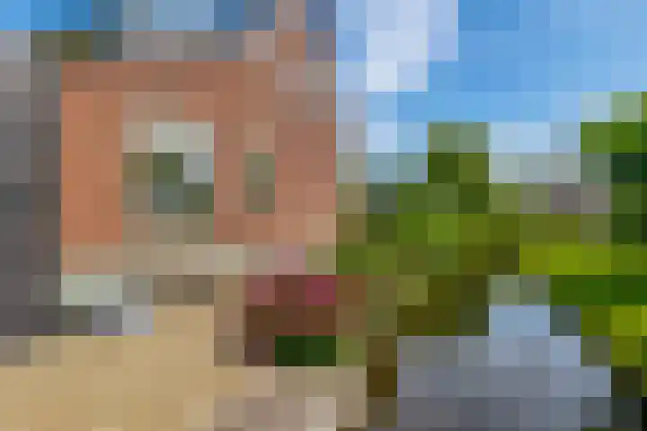 Zuidbroek 145 Bergambacht thumbnail 31