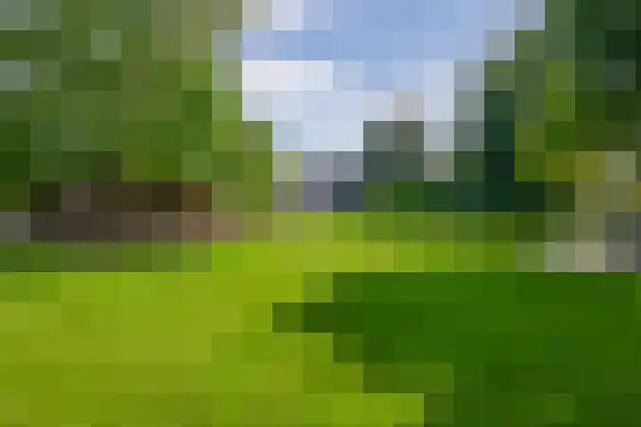 Zuidbroek 145 Bergambacht thumbnail 34