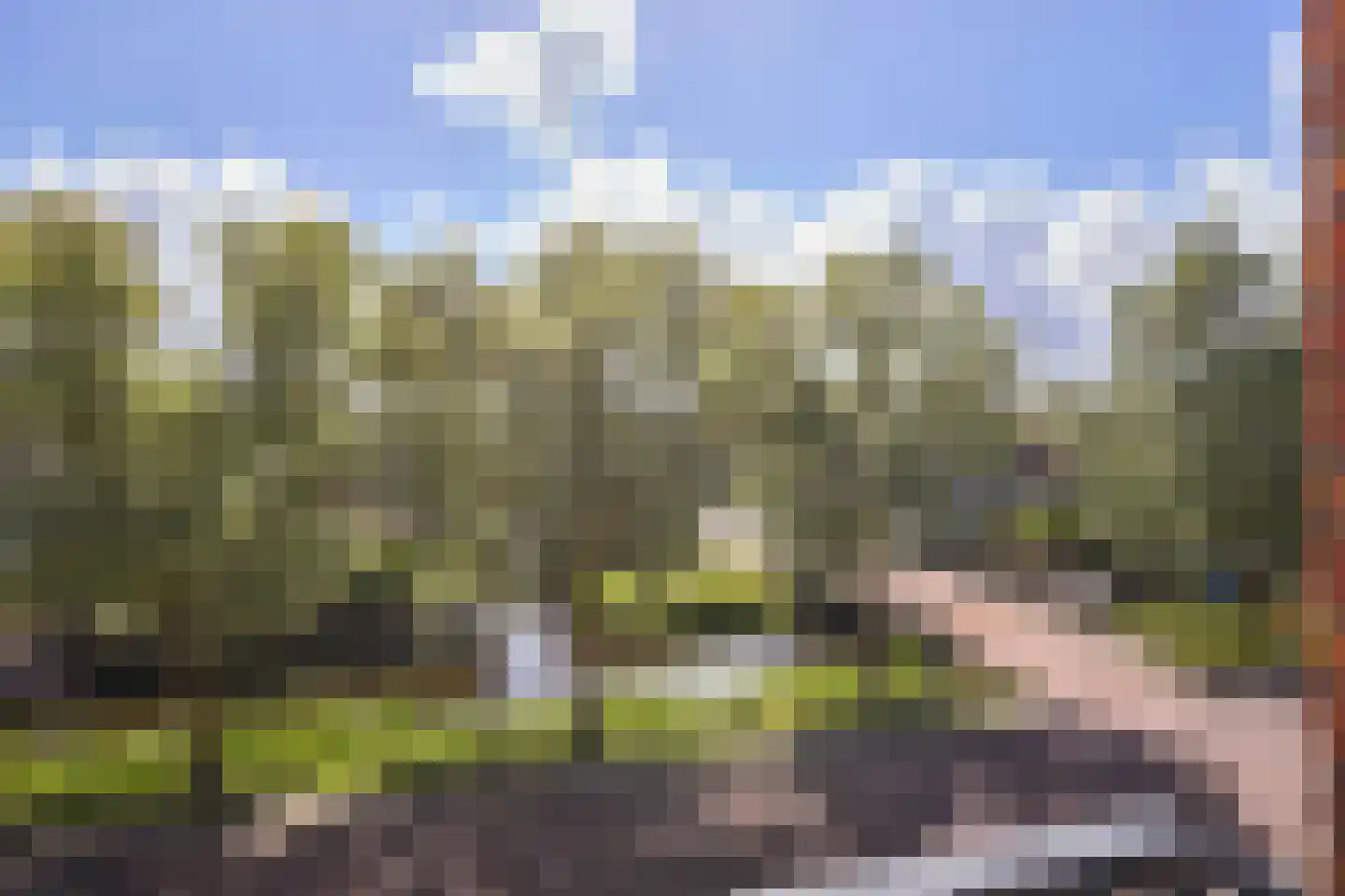 Zuidbroek 37 Noordwijk thumbnail 35
