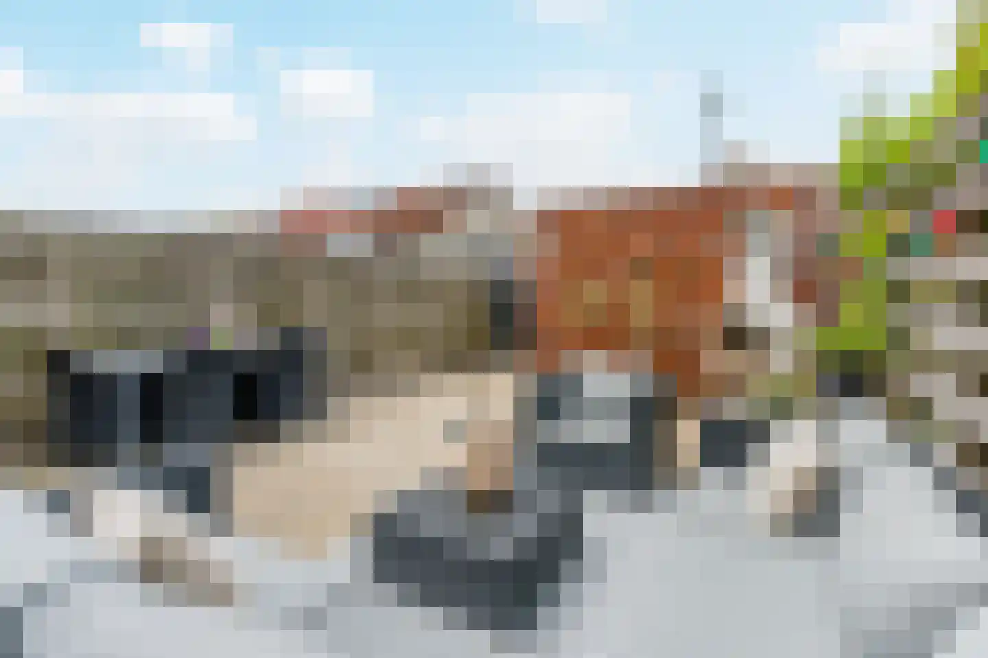 Zuidbroek 85 Noordwijk thumbnail 39