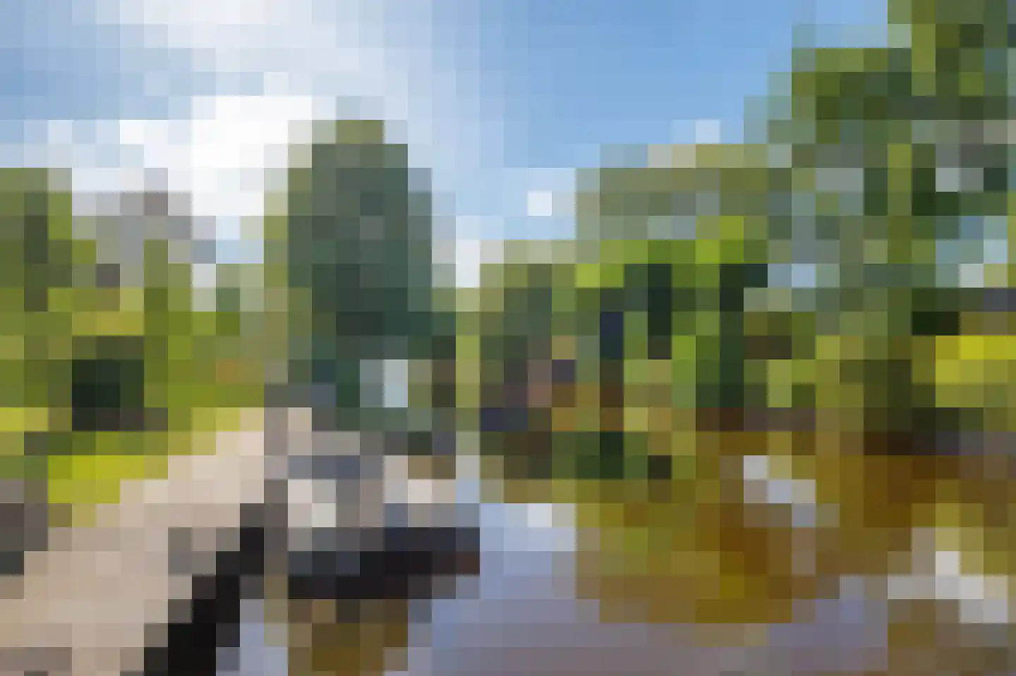 Zuidbroekse Opweg 8 Berkenwoude thumbnail 4