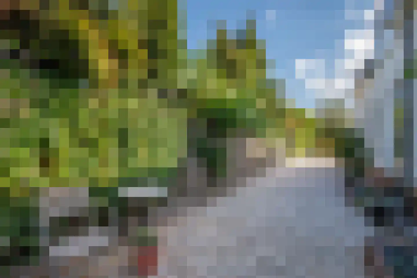 Zuidbroekse Opweg 8 Berkenwoude thumbnail 52