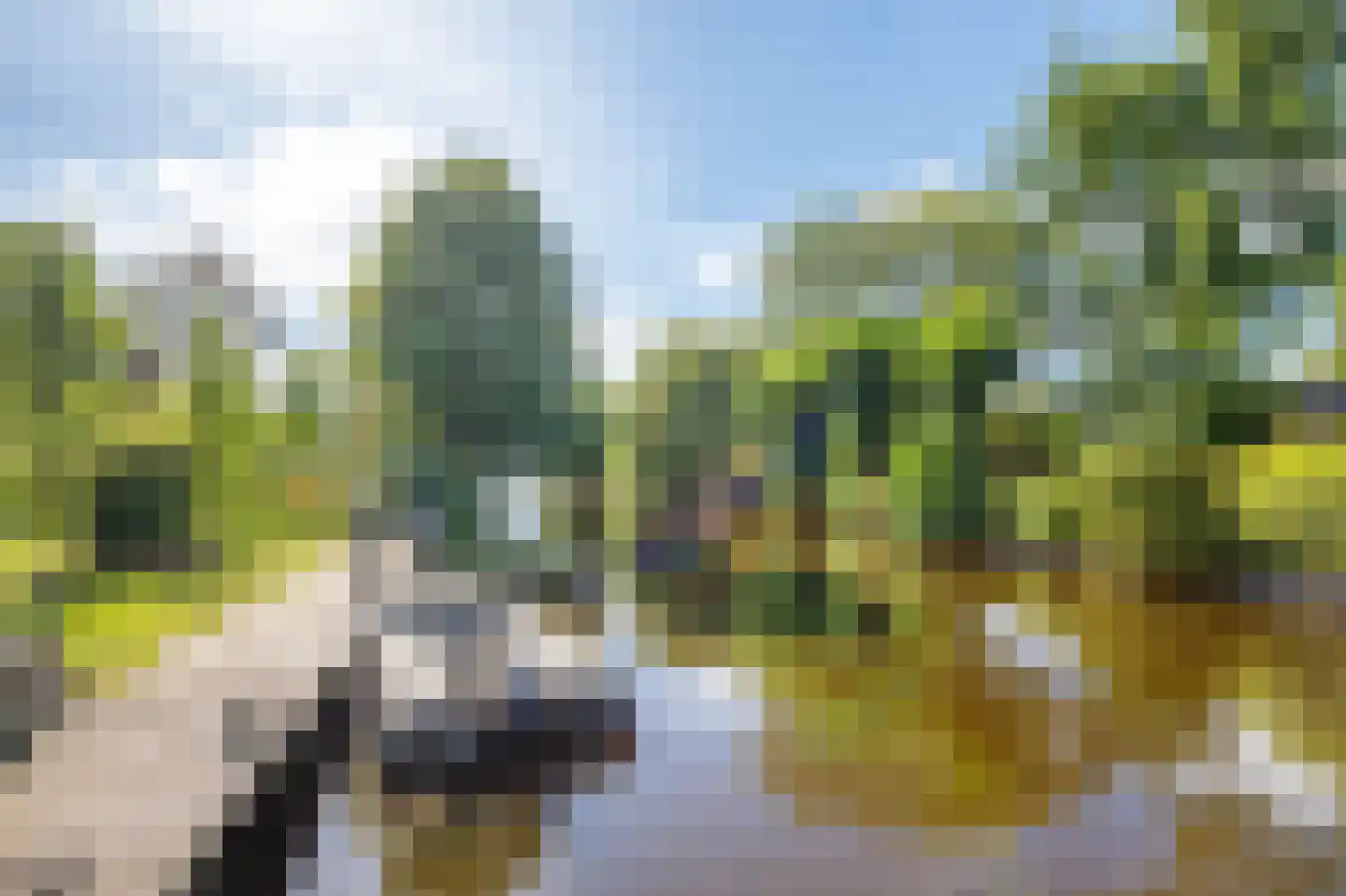 Zuidbroekse Opweg 8 Berkenwoude thumbnail 67