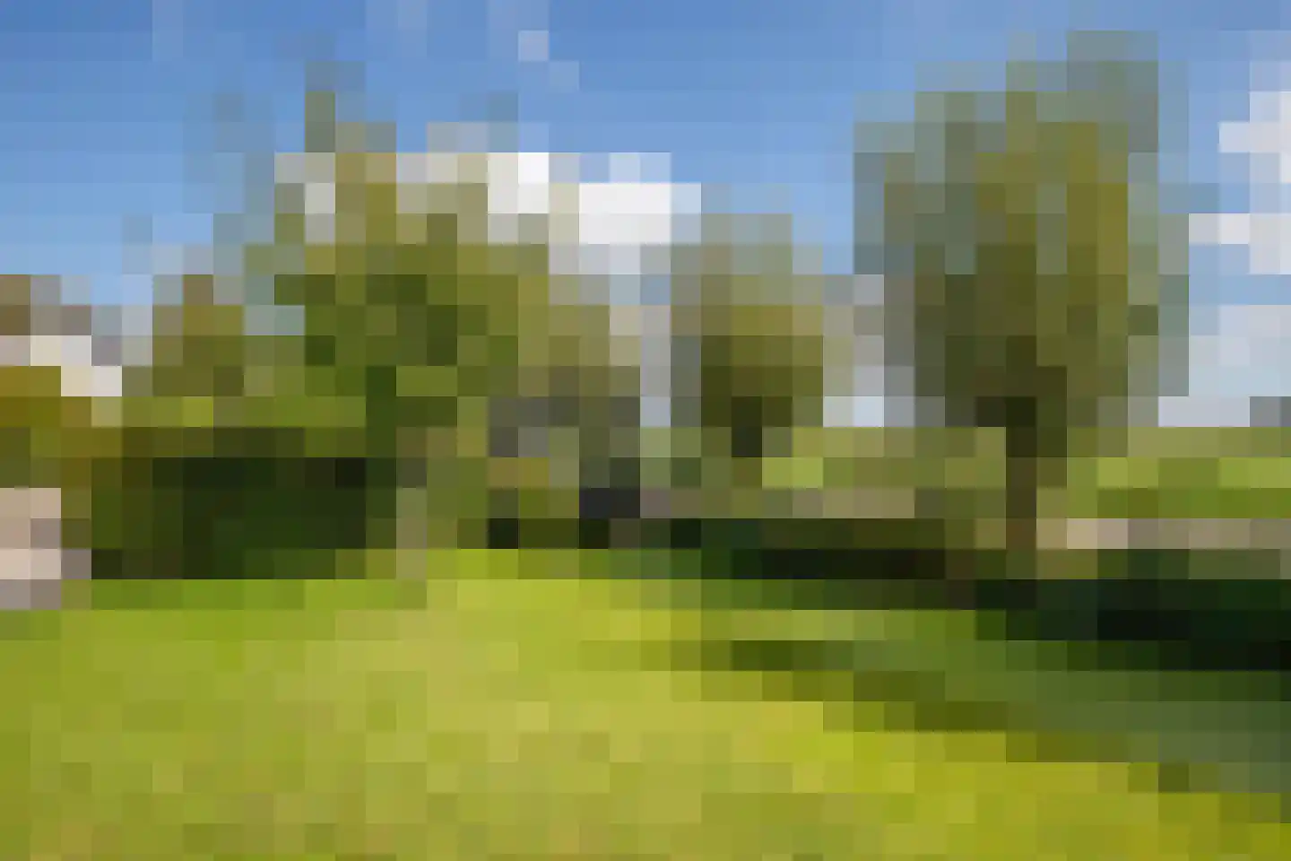 Zuidbroekse Opweg 8 Berkenwoude thumbnail 71