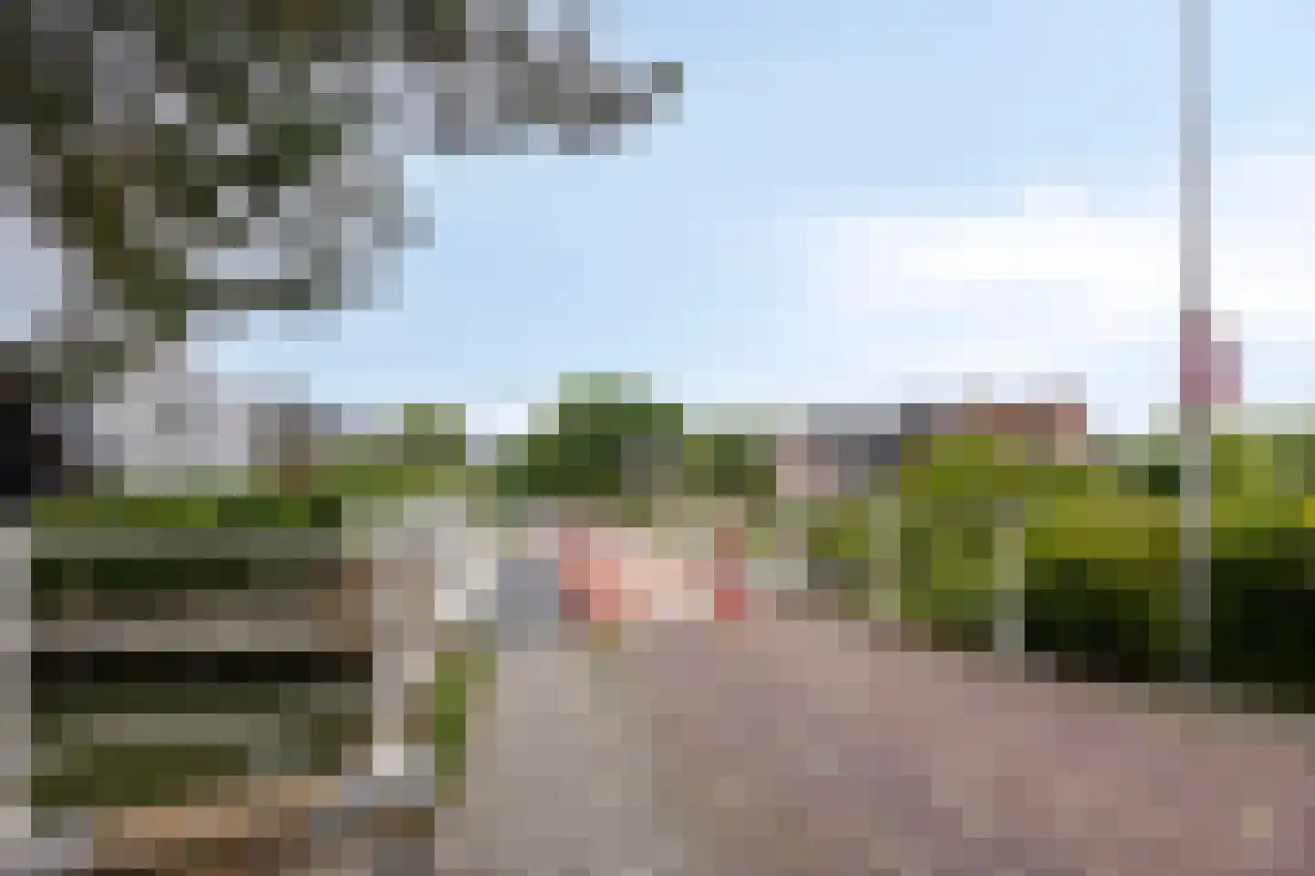Zuidbrug 34 Naaldwijk thumbnail 22