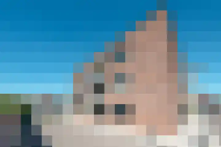 Zuidbrug 36 Naaldwijk thumbnail 24