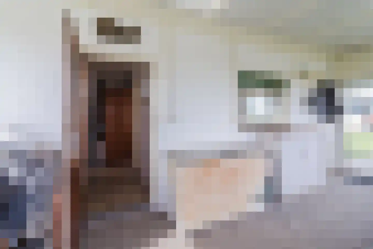 Zuidbuurt 1 Maasland thumbnail 10