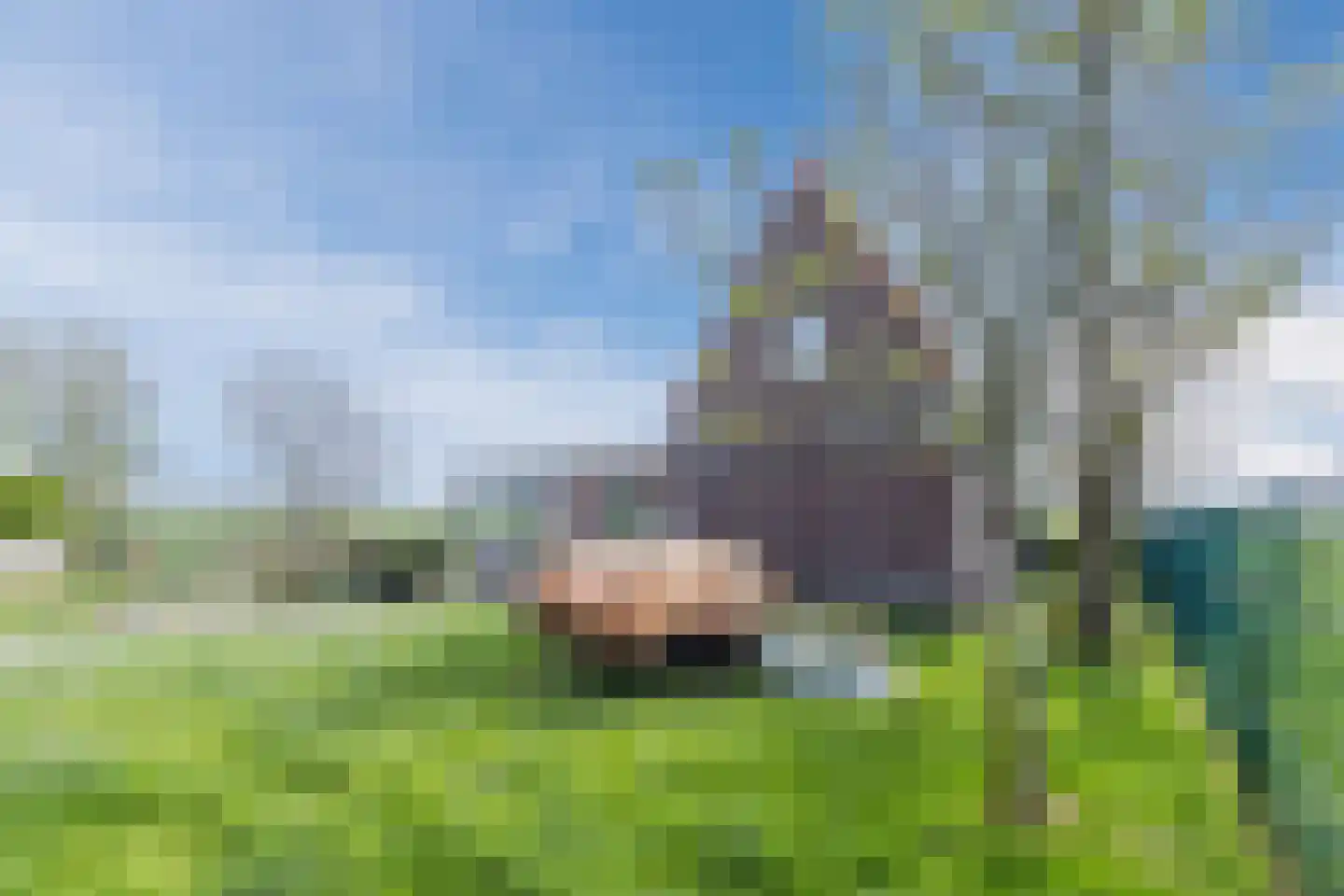 Zuidbuurt 1 Maasland thumbnail 37