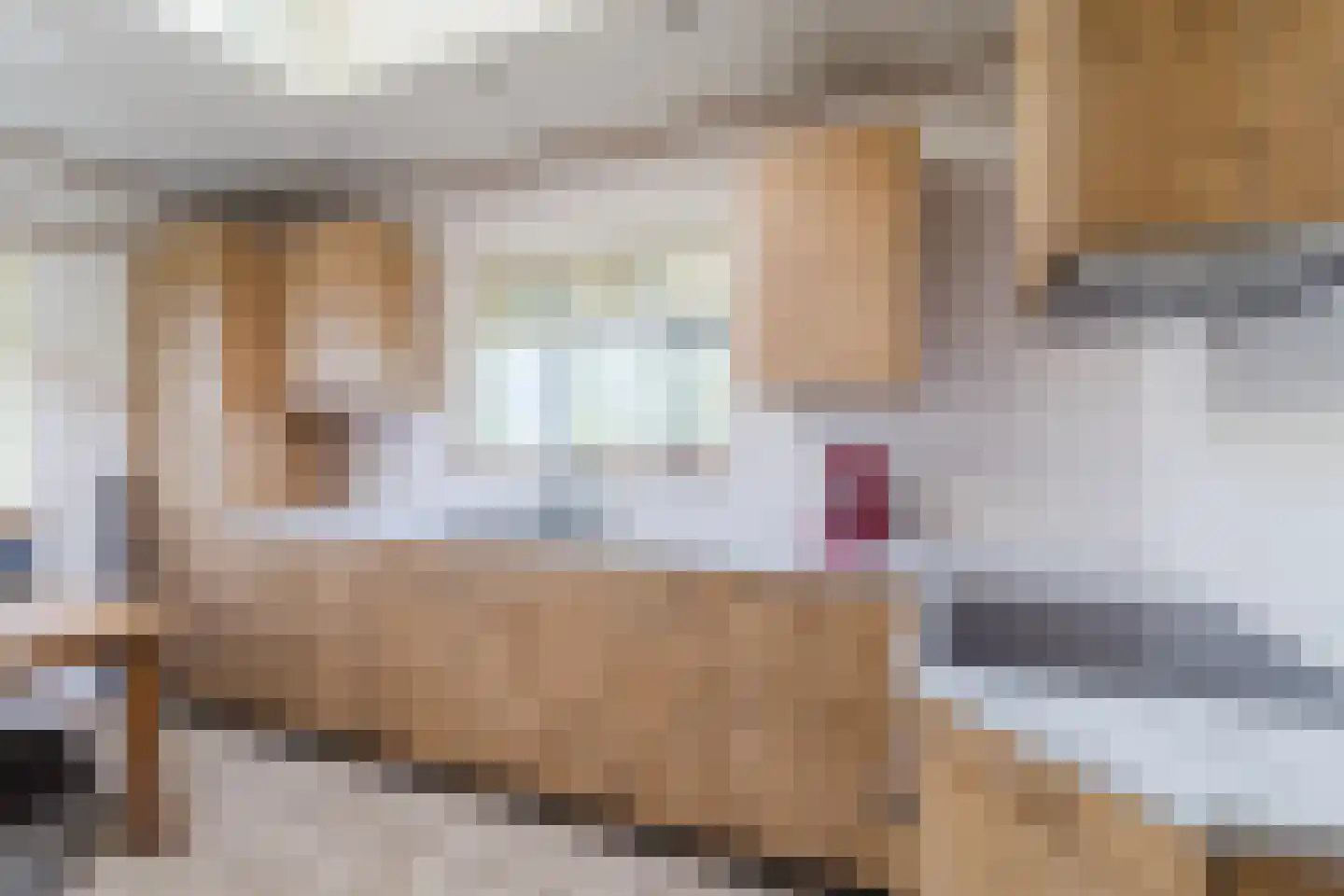 Zuidbuurt 1 Maasland thumbnail 4