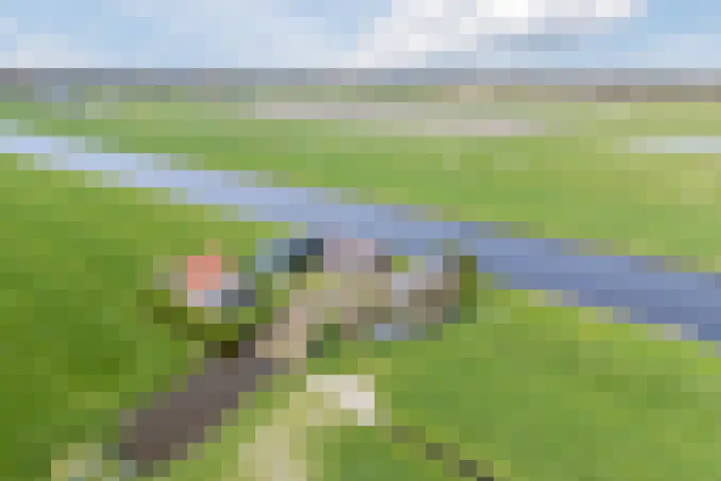 Zuidbuurt 1 Maasland thumbnail 5