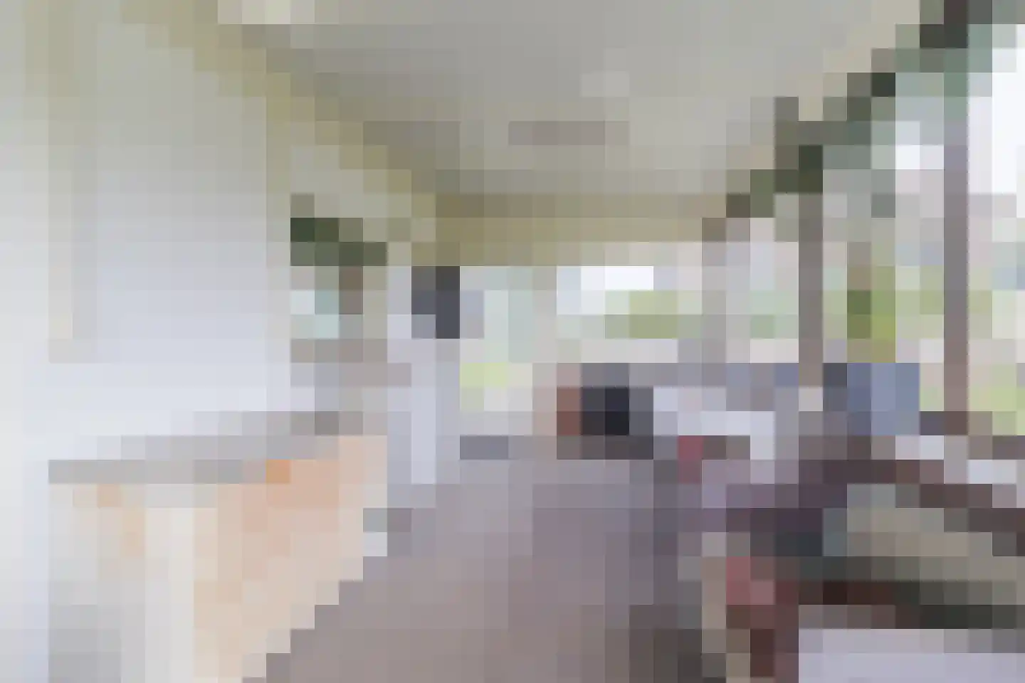 Zuidbuurt 1 Maasland thumbnail 8