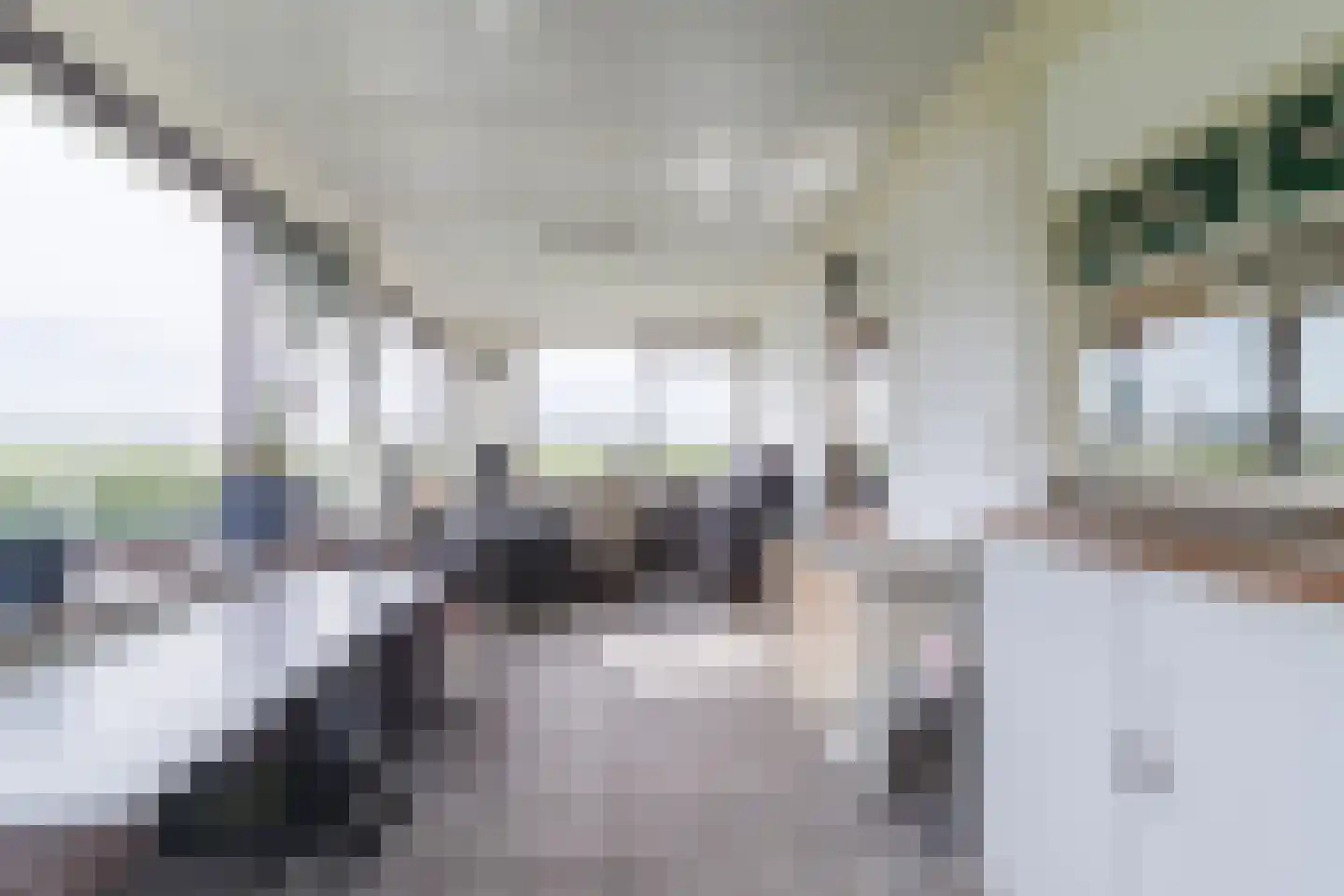 Zuidbuurt 1 Maasland thumbnail 9