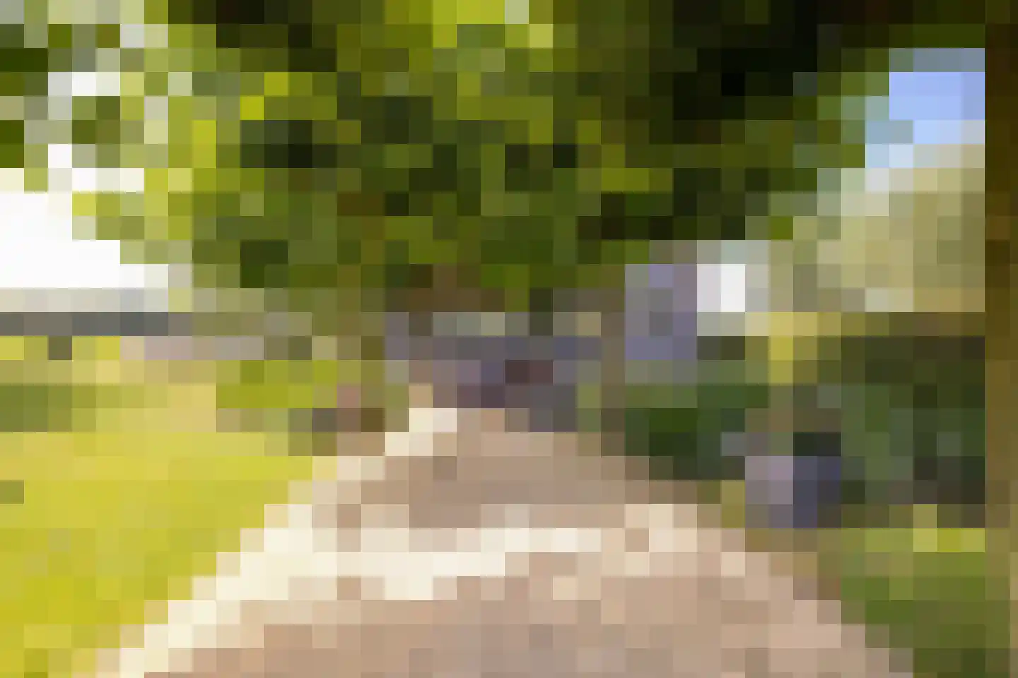 Zuidbuurtseweg 1 A Zoeterwoude thumbnail 26